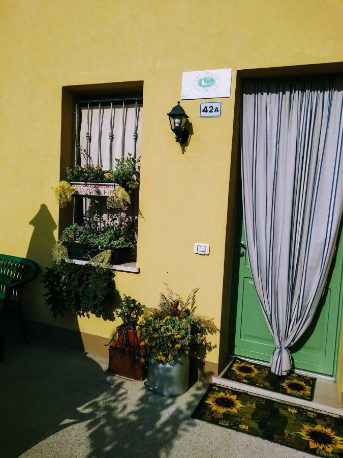 B&B Peschi In Fiore วาเลจโจ ซูล มินโช ภายนอก รูปภาพ
